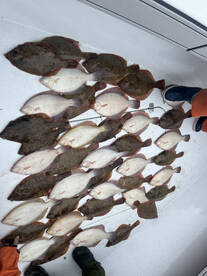 Dennis Report Photo 2