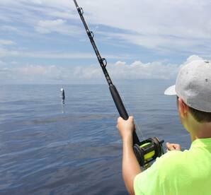 Quepos Report Photo 1