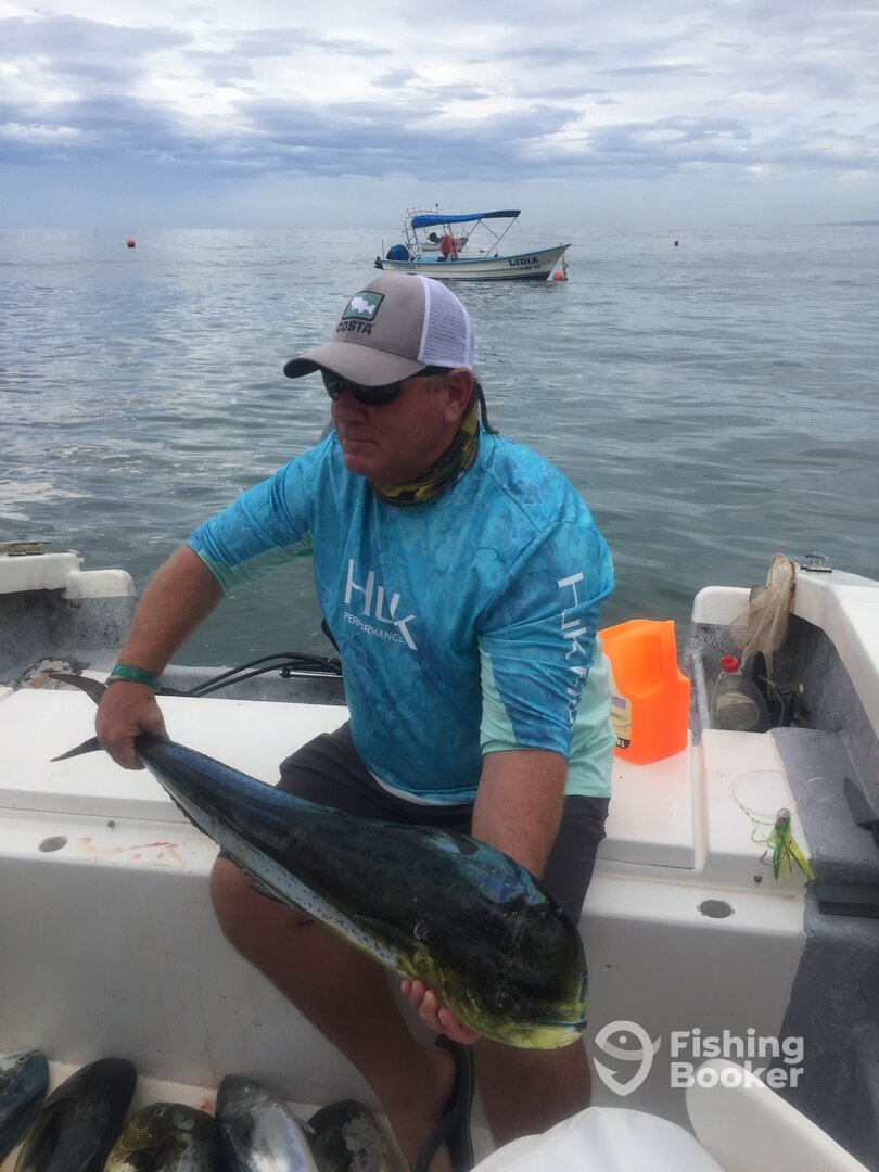 Puerto Vallarta Report Photo 0