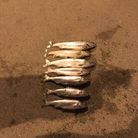 Oak Creek Report Photo 1