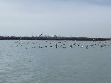 Fishing is as good as it gets!