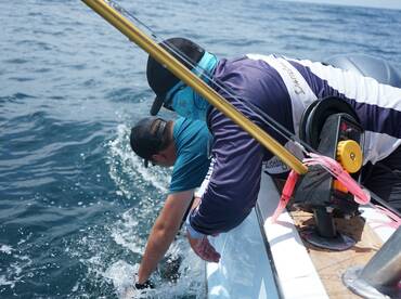 Herradura Report Photo 2