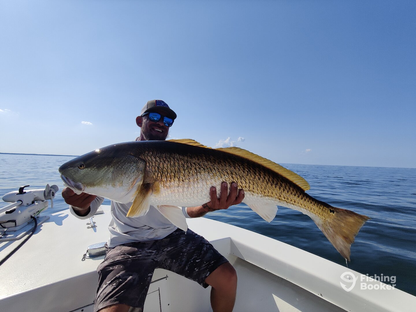 Dameron Report Photo 0