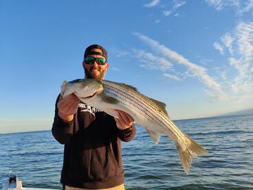 Dameron Report Photo 2