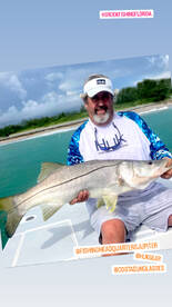 Mullet run dont miss it !!!!!