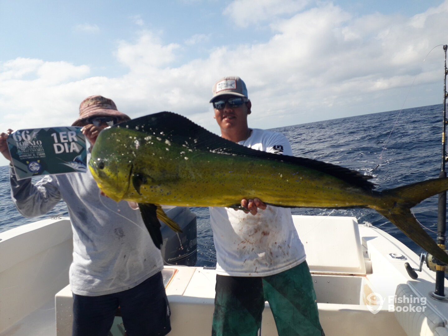 Nuevo Vallarta Report Photo 0