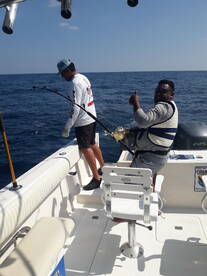 Nuevo Vallarta Report Photo 1