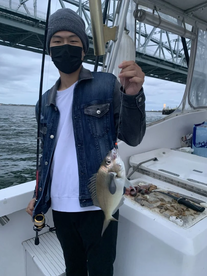 New York City Report Photo 1