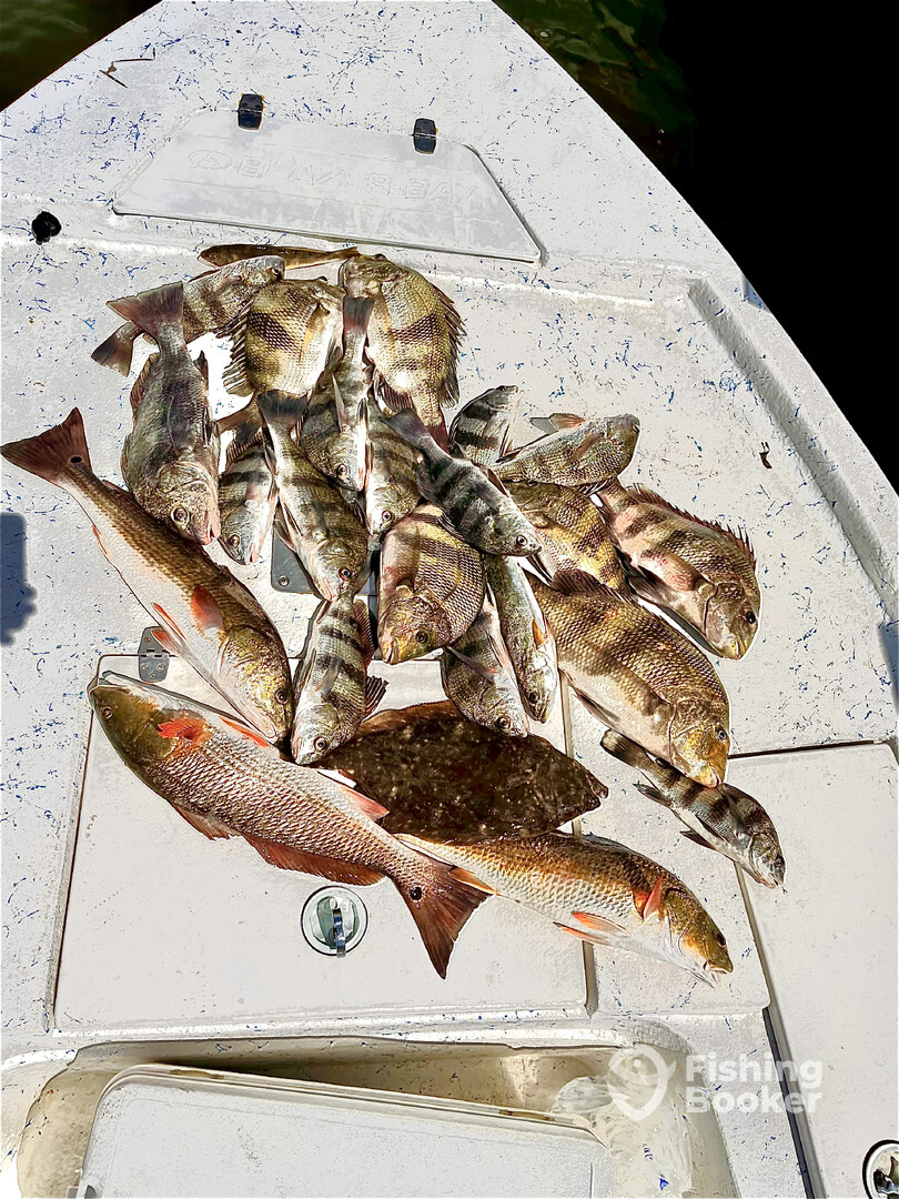 Ocean Springs Report Photo 0