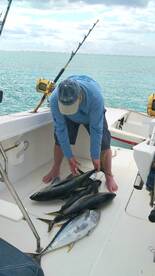 Le Morne Report Photo 2