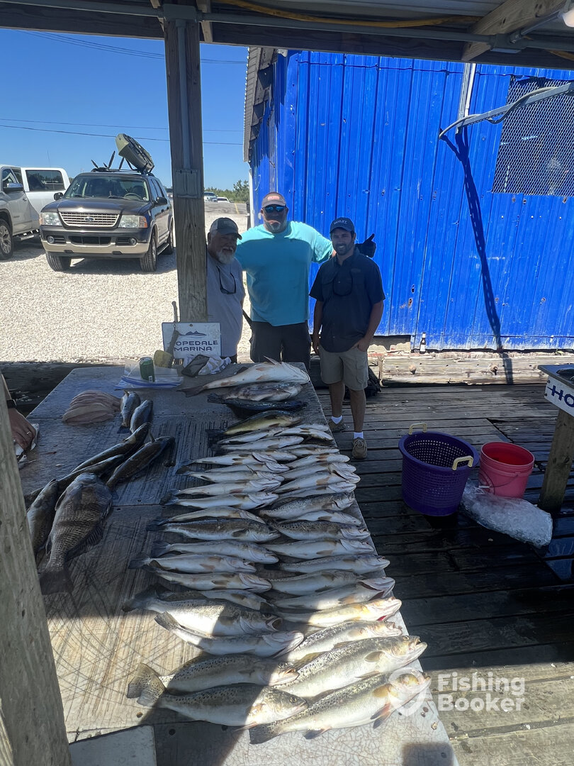 St. Bernard Report Photo 0