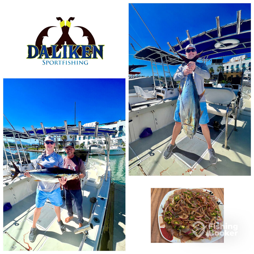 San Jose del Cabo Report Photo 0