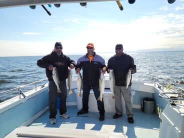 Solomons Report Photo 1