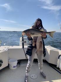 Bellevue Report Photo 1