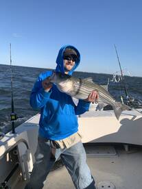 Bellevue Report Photo 2