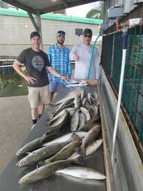 Fishing Still Strong Galveston Bay 