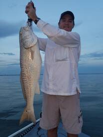 Galveston Report Photo 2