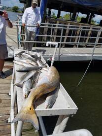 Galveston Report Photo 1