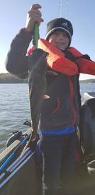 Harrison Report Photo 2