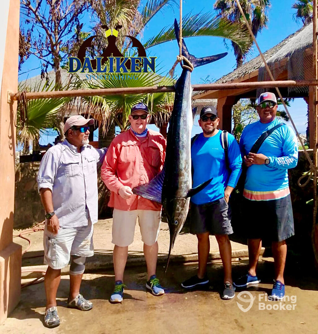 San Jose del Cabo Report Photo 0