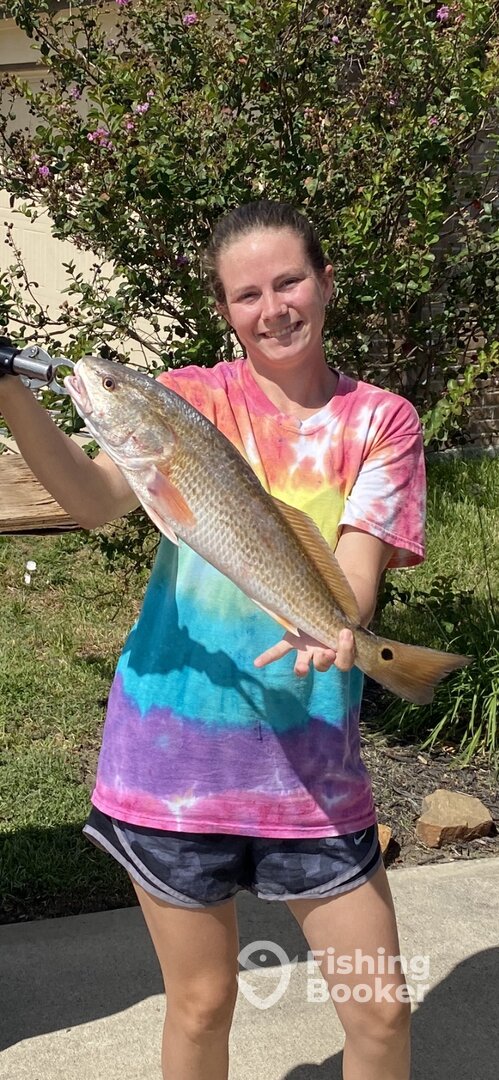 Galveston Report Photo 0