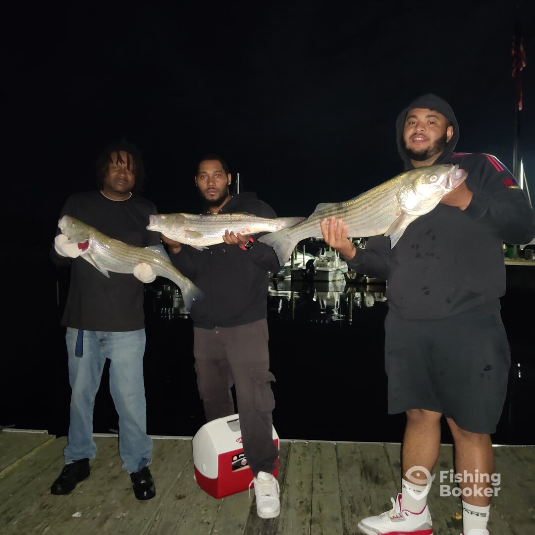 Mastic Report Photo 0