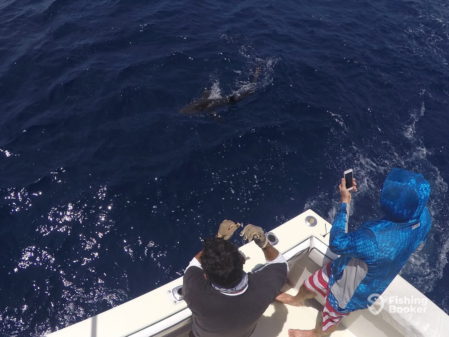 Cabo San Lucas Report Photo 0