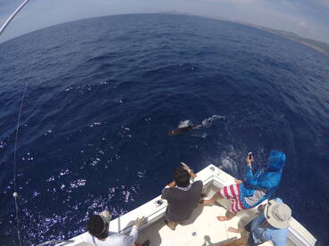 Cabo San Lucas Report Photo 1