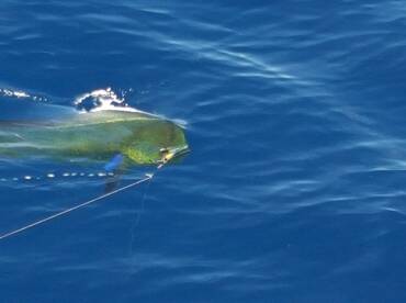 Cabo San Lucas Report Photo 2