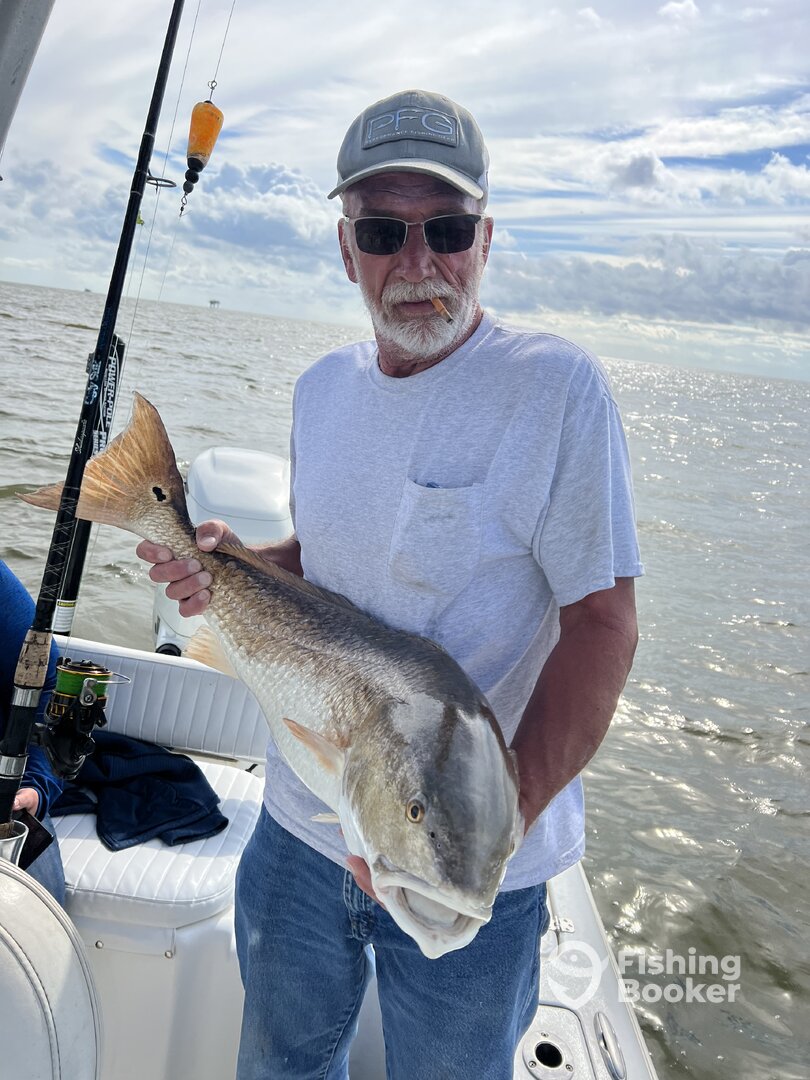 Venice Report Photo 0