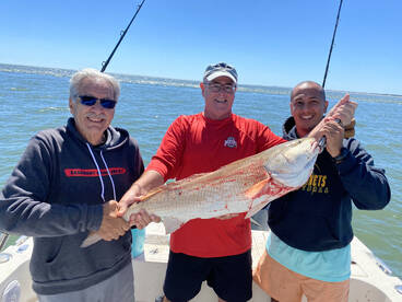 Fernandina Beach Report Photo 2