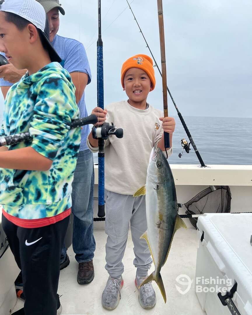 Catalina yellowtail on the daiwa set up