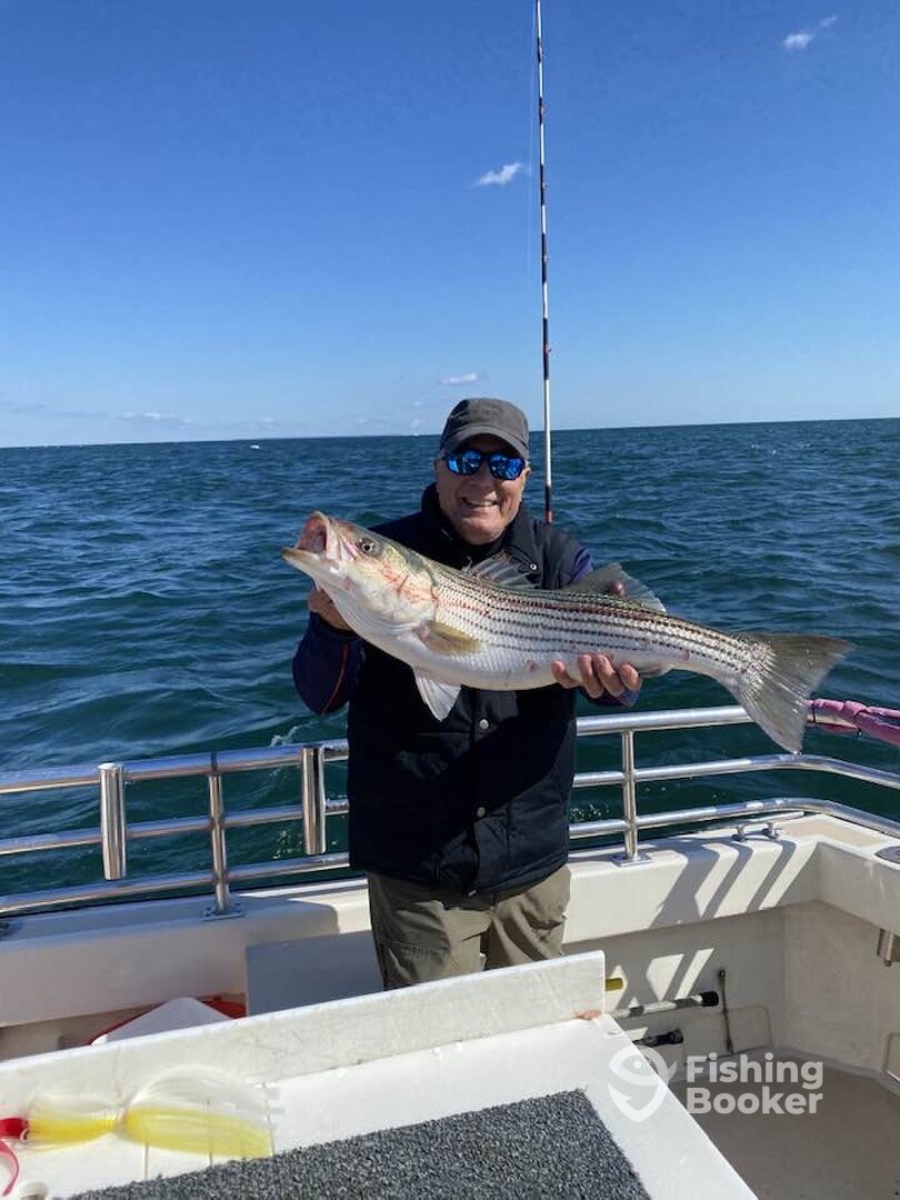 Montauk Report Photo 0