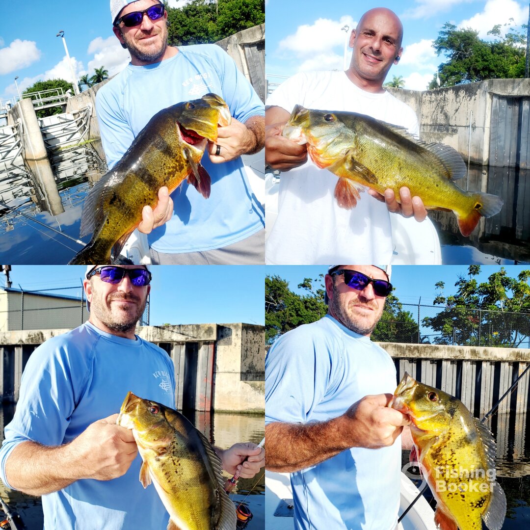 Delray Beach Report Photo 0