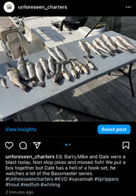 Savannah Report Photo 1