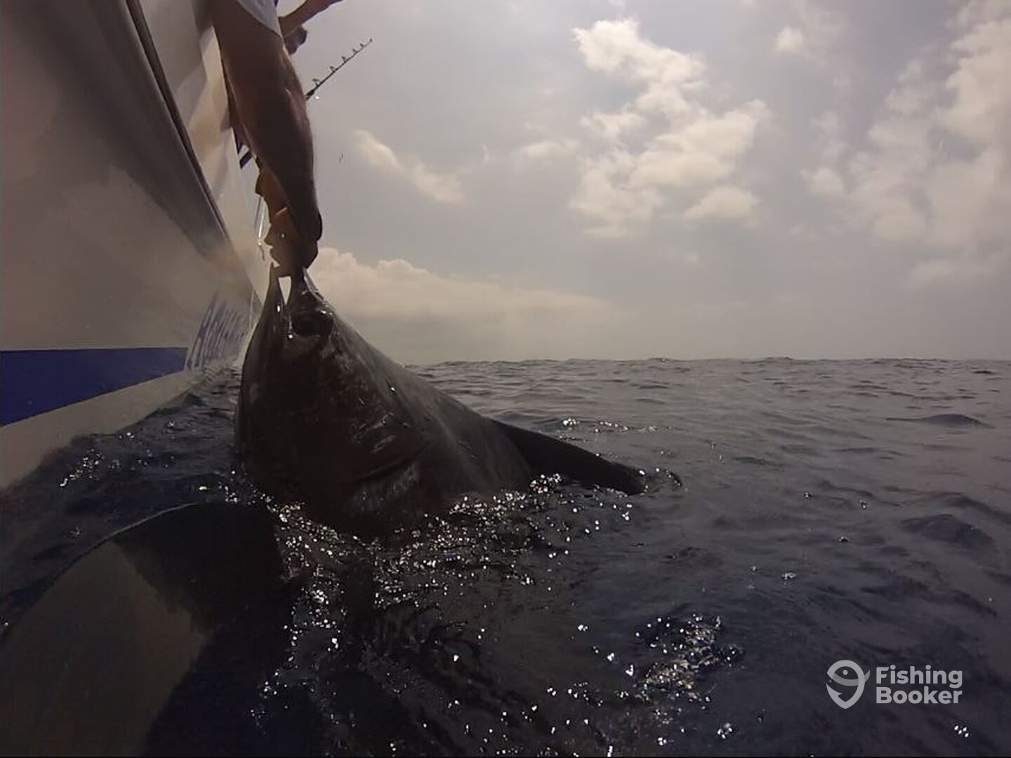 Maputo Report Photo 0