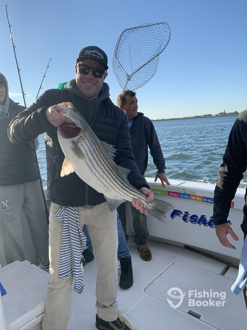 New York City Report Photo 0