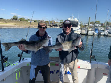 New York City Report Photo 2