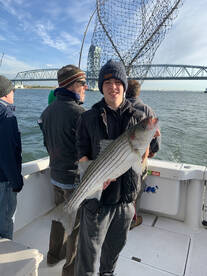 New York City Report Photo 1