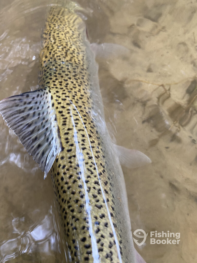 Baldwin Report Photo 0