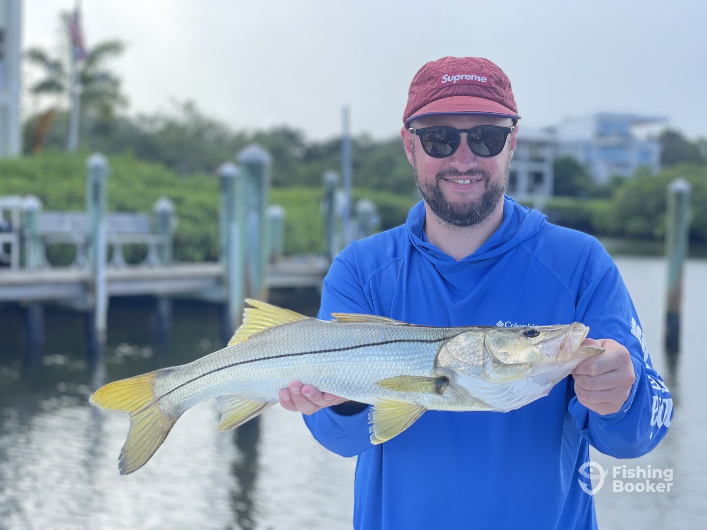 Sarasota Report Photo 0