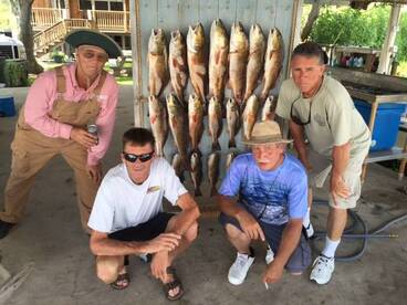 Barataria Report Photo 2