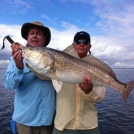 Barataria Report Photo 2