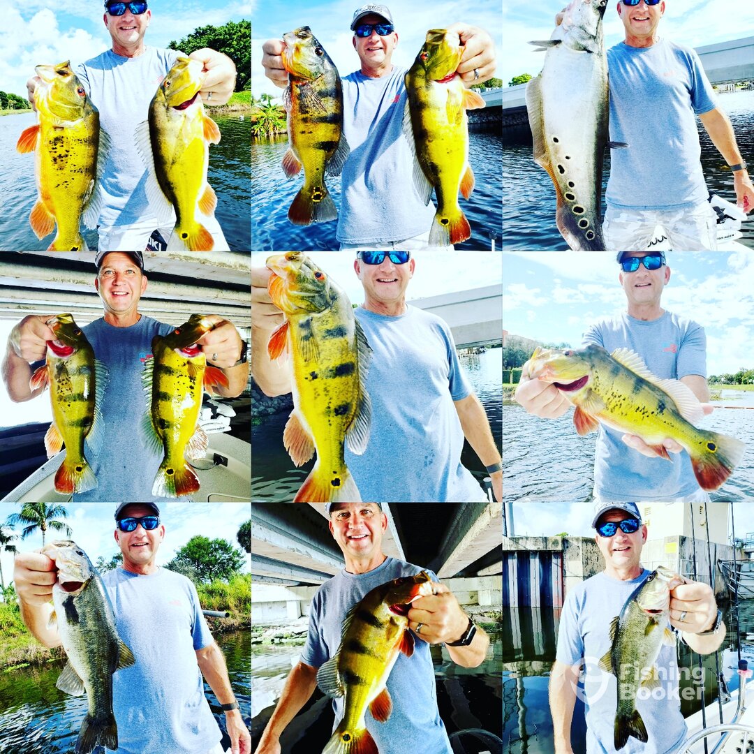 Delray Beach Report Photo 0