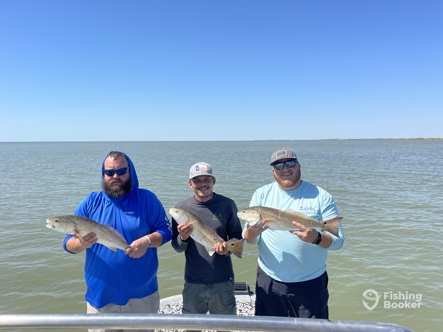 Palacios Report Photo 0