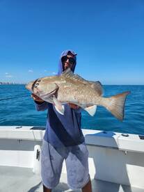 Dania Beach Report Photo 1