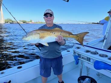 Huge Fish Day!!