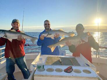 Montauk Report Photo 1