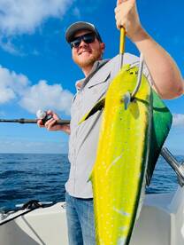 DORADO MAHI MAHI DOLPHIN FISH  