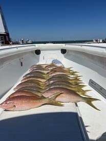 Fall Fishing is already Started off amaz